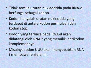 • Tidak semua urutan nukleodtida pada RNA-d
berfungsi sebagai kodon.
• Kodon hanyalah urutan nukleotida yang
terdapat di antara kodon permulaan dan
kodon stop.
• Kodon yang terbaca pada RNA-d akan
didatangi oleh RNA-t yang memiliki antikodon
komplemennya.
• Misalnya: odon UUU akan menyebabkan RNA-
t membawa fenilalanin.
 