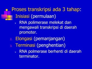  Proses transkripsi ada 3 tahap:
1. Inisiasi (permulaan)
 RNA polimerase melekat dan
mengawali transkripsi di daerah
promoter.
2. Elongasi (pemanjangan)
3. Terminasi (penghentian)
 RNA polmerase berhenti di daerah
terminator.
 