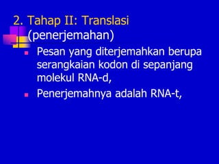 2. Tahap II: Translasi
(penerjemahan)
 Pesan yang diterjemahkan berupa
serangkaian kodon di sepanjang
molekul RNA-d,
 Penerjemahnya adalah RNA-t,
 