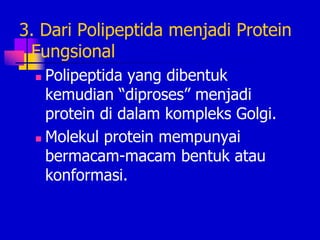 3. Dari Polipeptida menjadi Protein
Fungsional
 Polipeptida yang dibentuk
kemudian “diproses” menjadi
protein di dalam kompleks Golgi.
 Molekul protein mempunyai
bermacam-macam bentuk atau
konformasi.
 