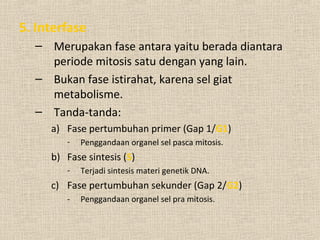 5. Interfase
– Merupakan fase antara yaitu berada diantara
periode mitosis satu dengan yang lain.
– Bukan fase istirahat, karena sel giat
metabolisme.
– Tanda-tanda:
a) Fase pertumbuhan primer (Gap 1/G1)
- Penggandaan organel sel pasca mitosis.
b) Fase sintesis (S)
- Terjadi sintesis materi genetik DNA.
c) Fase pertumbuhan sekunder (Gap 2/G2)
- Penggandaan organel sel pra mitosis.
 