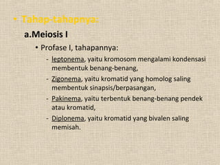 • Tahap-tahapnya:
a.Meiosis I
• Profase I, tahapannya:
- leptonema, yaitu kromosom mengalami kondensasi
membentuk benang-benang,
- Zigonema, yaitu kromatid yang homolog saling
membentuk sinapsis/berpasangan,
- Pakinema, yaitu terbentuk benang-benang pendek
atau kromatid,
- Diplonema, yaitu kromatid yang bivalen saling
memisah.
 