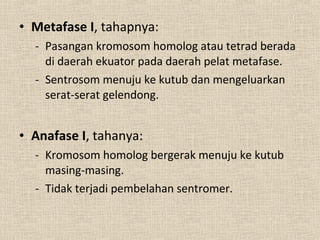 • Metafase I, tahapnya:
- Pasangan kromosom homolog atau tetrad berada
di daerah ekuator pada daerah pelat metafase.
- Sentrosom menuju ke kutub dan mengeluarkan
serat-serat gelendong.
• Anafase I, tahanya:
- Kromosom homolog bergerak menuju ke kutub
masing-masing.
- Tidak terjadi pembelahan sentromer.
 