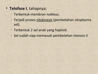 • Telofase I, tahapnya:
- Terbentuk membran nukleus.
- Terjadi proses sitokinesis (pembelahan sitoplasma
sel).
- Terbentuk 2 sel anak yang haploid.
- Sel sudah siap memasuki pembelahan meiosis II
 