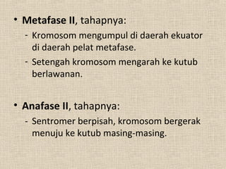 • Metafase II, tahapnya:
- Kromosom mengumpul di daerah ekuator
di daerah pelat metafase.
- Setengah kromosom mengarah ke kutub
berlawanan.
• Anafase II, tahapnya:
- Sentromer berpisah, kromosom bergerak
menuju ke kutub masing-masing.
 