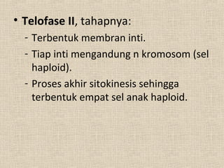 • Telofase II, tahapnya:
- Terbentuk membran inti.
- Tiap inti mengandung n kromosom (sel
haploid).
- Proses akhir sitokinesis sehingga
terbentuk empat sel anak haploid.
 