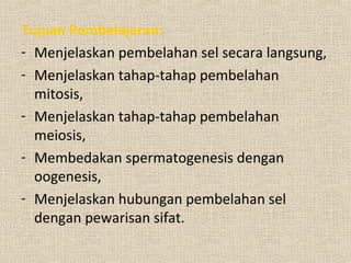 Tujuan Pembelajaran:
- Menjelaskan pembelahan sel secara langsung,
- Menjelaskan tahap-tahap pembelahan
mitosis,
- Menjelaskan tahap-tahap pembelahan
meiosis,
- Membedakan spermatogenesis dengan
oogenesis,
- Menjelaskan hubungan pembelahan sel
dengan pewarisan sifat.
 