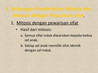 E. Hubungan Pembelahan Mitosis dan
Meiosis dengan Pewarisan sifat.
1. Mitosis dengan pewarisan sifat
• Hasil dari mitosis:
a. Semua sifat induk diwariskan kepada kedua
sel anak,
b. Setiap sel anak memiliki sifat identik
dengan sel induk.
 
