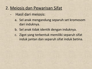 2. Meiosis dan Pewarisan Sifat
- Hasil dari meiosis:
a. Sel anak mengandung separuh set kromosom
dari induknya.
b. Sel anak tidak identik dengan induknya.
c. Zigot yang terbentuk memiliki separuh sifat
induk jantan dan separuh sifat induk betina.
 