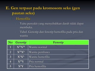 E. Gen terpaut pada kromosom seks (gen
pautan seks)
1. Hemofilia
- Yaitu penyakit yang menyebabkan darah tidak dapat
membuka.
- Tabel. Genotip dan fenotip hemofilia pada pria dan
wanita
No Genotip Fenotip
1 XHXH Wanita normal
2 XHXh Wanita pembawa
3 XhXh Wanita hemofilia
4 XHY Pria normal
5 XhY Pria hemofilia
 