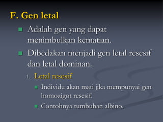 F. Gen letal
 Adalah gen yang dapat
menimbulkan kematian.
 Dibedakan menjadi gen letal resesif
dan letal dominan.
1. Letal resesif
 Individu akan mati jika mempunyai gen
homozigot resesif.
 Contohnya tumbuhan albino.
 