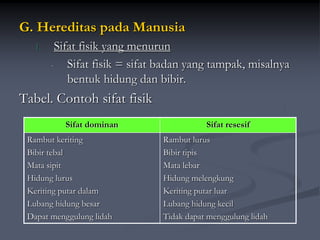 G. Hereditas pada Manusia
1. Sifat fisik yang menurun
- Sifat fisik = sifat badan yang tampak, misalnya
bentuk hidung dan bibir.
Tabel. Contoh sifat fisik
Sifat dominan Sifat resesif
Rambut keriting
Bibir tebal
Mata sipit
Hidung lurus
Keriting putar dalam
Lubang hidung besar
Dapat menggulung lidah
Rambut lurus
Bibir tipis
Mata lebar
Hidung melengkung
Keriting putar luar
Lubang hidung kecil
Tidak dapat menggulung lidah
 