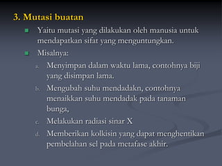 3. Mutasi buatan
 Yaitu mutasi yang dilakukan oleh manusia untuk
mendapatkan sifat yang menguntungkan.
 Misalnya:
a. Menyimpan dalam waktu lama, contohnya biji
yang disimpan lama.
b. Mengubah suhu mendadakn, contohnya
menaikkan suhu mendadak pada tanaman
bunga,
c. Melakukan radiasi sinar X
d. Memberikan kolkisin yang dapat menghentikan
pembelahan sel pada metafase akhir.
 