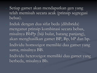 - Setiap gamet akan mendapatkan gen yang
telah memisah secara acak (prinsip segregasi
bebas).
- Induk dengan dua sifat beda (dihibrida)
menganut prinsip kombinasi secara bebas,
misalnya BbPp (biji bulat, batang panjang),
akan menghasilkan gamet BP, Bp, bP dan bp.
- Individu homozigot memiliki dua gamet yang
sama, misalnya BB.
- Individu heterozigot memiliki dua gamet yang
berbeda, misalnya Bb.
 