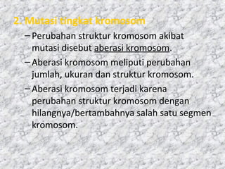 2. Mutasi tingkat kromosom
–Perubahan struktur kromosom akibat
mutasi disebut aberasi kromosom.
–Aberasi kromosom meliputi perubahan
jumlah, ukuran dan struktur kromosom.
–Aberasi kromosom terjadi karena
perubahan struktur kromosom dengan
hilangnya/bertambahnya salah satu segmen
kromosom.
 