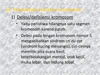 a) Perubahan struktur kromosom
1) Delesi/defisiensi kromosom
• Yaitu peristiwa hilangnya satu segmen
kromosom karena patah.
• Delesi pada lengan kromosom nomor 5
mengakibatkan sindrom cri du cat
(sindrom kucing menangis), ciri-cirinya
memiliki pita suara kecil,
keterbelakangan mental, otak kecil,
muka lebar, dan hidung tebal.
 