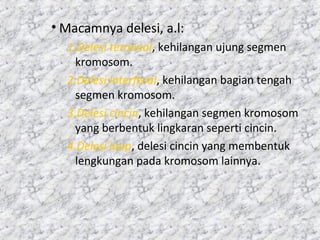 • Macamnya delesi, a.l:
1.Delesi terminal, kehilangan ujung segmen
kromosom.
2.Delesi interfisial, kehilangan bagian tengah
segmen kromosom.
3.Delesi cincin, kehilangan segmen kromosom
yang berbentuk lingkaran seperti cincin.
4.Delesi loop, delesi cincin yang membentuk
lengkungan pada kromosom lainnya.
 