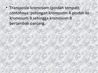 • Transposisi kromosom (pindah tempat),
contohnya: potongan kromosom A pindah ke
kromosom B sehingga kromosom B
bertambah panjang.
 