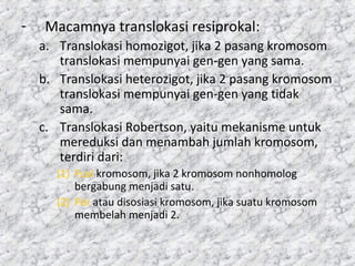 - Macamnya translokasi resiprokal:
a. Translokasi homozigot, jika 2 pasang kromosom
translokasi mempunyai gen-gen yang sama.
b. Translokasi heterozigot, jika 2 pasang kromosom
translokasi mempunyai gen-gen yang tidak
sama.
c. Translokasi Robertson, yaitu mekanisme untuk
mereduksi dan menambah jumlah kromosom,
terdiri dari:
(1) Fusi kromosom, jika 2 kromosom nonhomolog
bergabung menjadi satu.
(2) Fisi atau disosiasi kromosom, jika suatu kromosom
membelah menjadi 2.
 