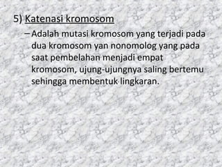 5) Katenasi kromosom
–Adalah mutasi kromosom yang terjadi pada
dua kromosom yan nonomolog yang pada
saat pembelahan menjadi empat
kromosom, ujung-ujungnya saling bertemu
sehingga membentuk lingkaran.
 