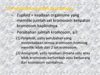 b. Perubahan jumlah kromosom
– Euploid = keadaan organisme yang
memiliki jumlah set kromosom kelipatan
kromosom haploidnya.
– Perubahan jumlah kromosom, a.l:
(1) Poliploidi, yaitu perubahan yang
menyebabkan semua kromosom homolog
memiliki lebih dari 2 set kromosom.
(2) Aneuploidi, yaitu keadaan dimana satu atau
lebih kromosom bertambah atau berkurang
dari kromosom normalnya.
 