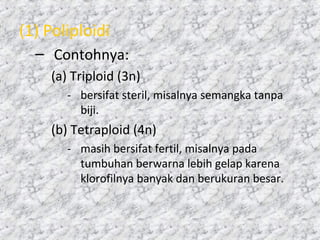 (1) Poliploidi
– Contohnya:
(a) Triploid (3n)
- bersifat steril, misalnya semangka tanpa
biji.
(b) Tetraploid (4n)
- masih bersifat fertil, misalnya pada
tumbuhan berwarna lebih gelap karena
klorofilnya banyak dan berukuran besar.
 