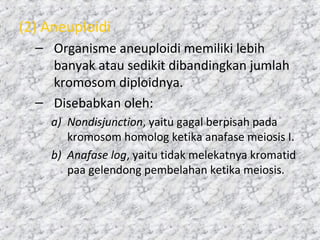 (2) Aneuploidi
– Organisme aneuploidi memiliki lebih
banyak atau sedikit dibandingkan jumlah
kromosom diploidnya.
– Disebabkan oleh:
a) Nondisjunction, yaitu gagal berpisah pada
kromosom homolog ketika anafase meiosis I.
b) Anafase log, yaitu tidak melekatnya kromatid
paa gelendong pembelahan ketika meiosis.
 
