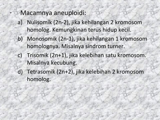 - Macamnya aneuploidi:
a) Nulisomik (2n-2), jika kehilangan 2 kromosom
homolog. Kemungkinan terus hidup kecil.
b) Monosomik (2n-1), jika kehilangan 1 kromosom
homolognya. Misalnya sindrom turner.
c) Trisomik (2n+1), jika kelebihan satu kromosom.
Misalnya kecubung.
d) Tetrasomik (2n+2), jika kelebihan 2 kromosom
homolog.
 
