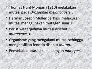 • Thomas Hunt Morgan (1910) melakukan
mutasi pada Drosophila melanogaster.
• Herman Joseph Muller berhasil melakukan
mutasi menggunakan mutagen sinar X.
• Peristiwa terjadinya mutasi disebut
mutagenesis.
• Organisme yang mengalami mutasi sehingga
menghasilkan fenotip disebut mutan.
• Penyebab mutasi dikenal dengan mutagen.
 