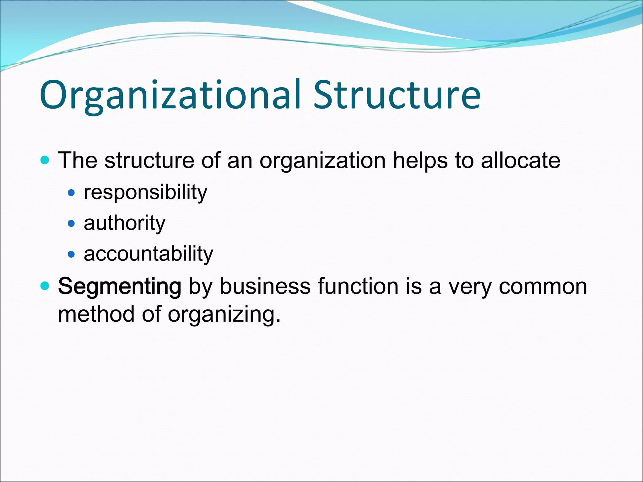 Organizational Structure
 The structure of an organization helps to allocate
   responsibility
   authority
   accountability
 Segmenting by business function is a very common
 method of organizing.
 