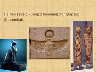 Haiwan seperti kucing & kumbang dianggap suci
& disembah
 