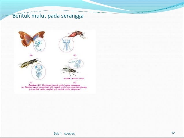 Bab 1. Spesies dalam ekosistem
