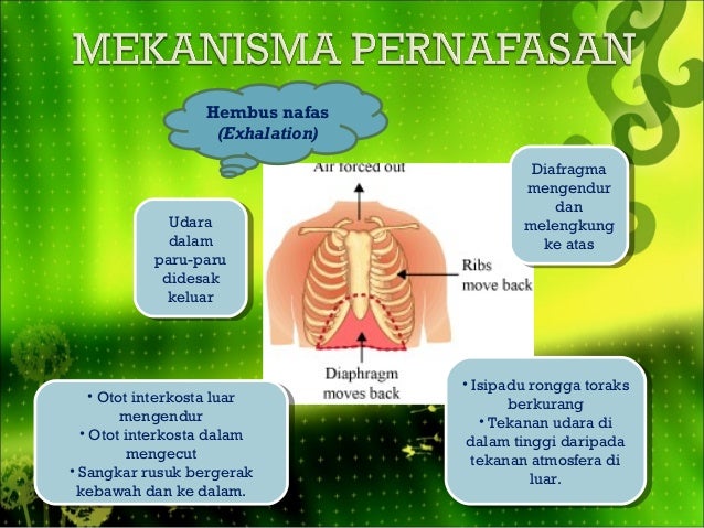 Bab 1