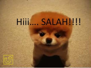 Hiii…. SALAH!!!!

 