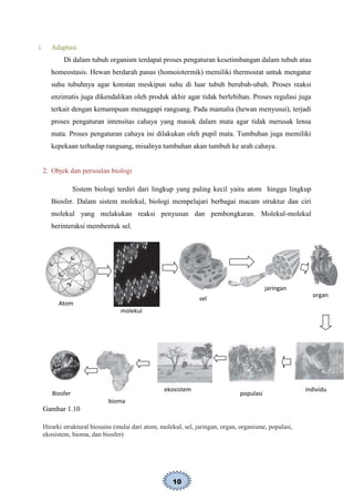 10
i. Adaptasi
Di dalam tubuh organism terdapat proses pengaturan kesetimbangan dalam tubuh atau
homeostasis. Hewan berdarah panas (homoiotermik) memiliki thermostat untuk mengatur
suhu tubuhnya agar konstan meskipun suhu di luar tubuh berubah-ubah. Proses reaksi
enzimatis juga dikendalikan oleh produk akhir agar tidak berlebihan. Proses regulasi juga
terkait dengan kemampuan menaggapi rangsang. Pada mamalia (hewan menyusui), terjadi
proses pengaturan intensitas cahaya yang masuk dalam mata agar tidak merusak lensa
mata. Proses pengaturan cahaya ini dilakukan oleh pupil mata. Tumbuhan juga memiliki
kepekaan terhadap rangsang, misalnya tumbuhan akan tumbuh ke arah cahaya.
2. Objek dan persoalan biologi
Sistem biologi terdiri dari lingkup yang paling kecil yaitu atom hingga lingkup
Biosfer. Dalam sistem molekul, biologi mempelajari berbagai macam struktur dan ciri
molekul yang melakukan reaksi penyusun dan pembongkaran. Molekul-molekul
berinteraksi membentuk sel.
Gambar 1.10
Hirarki struktural biosains (mulai dari atom, molekul, sel, jaringan, organ, organisme, populasi,
ekosistem, bioma, dan biosfer)
Atom
molekul
sel
jaringan
organ
individu
populasi
ekosistem
Biosfer
bioma
 