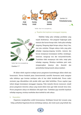8
Sumber : http://www.crayonpedia.org
g. Regulasi dan kepekaan menanggapi rangsang
Makhluk hidup peka terhadap perubahan yang
terjadi disekitarnya. Alat pengenal lingkungan pada
manusia dan hewan berupa indra. Indra peka terhadap
rangsang. Rangsang dapat berupa cahaya, bunyi, bau,
rasa atau sentuhan. Dengan adanya indra yang peka
terhadap rangsang-rangsang tersebut, manusia dan
hewan mempunyai kemampuan melihat, mendengar,
mencium, mengecap rasa dan menyentuh/meraba.
Tumbuhan tidak mempunyai alat indra, tetapi peka
terhadap rangsang. Misalnya tumbuhan putri malu
menguncupkan daunnya jika disentuh dan
pertumbuhan batang kearah cahaya matahari.
Di dalam tubuh organism terdapat proses pengaturan kesetimbangan dalam tubuh atau
homeostasis. Hewan berdarah panas (homoiotermik) memiliki thermostat untuk mengatur
suhu tubuhnya agar konstan meskipun suhu di luar tubuh berubah-ubah. Proses reaksi
enzimatis juga dikendalikan oleh produk akhir agar tidak berlebihan. Proses regulasi juga
terkait dengan kemampuan menaggapi rangsang. Pada mamalia (hewan menyusui), terjadi
proses pengaturan intensitas cahaya yang masuk dalam mata agar tidak merusak lensa mata.
Proses pengaturan cahaya ini dilakukan oleh pupil mata. Tumbuhan juga memiliki kepekaan
terhadap rangsang, misalnya tumbuhan akan tumbuh ke arah cahaya.
h. Reproduksi
Organisme menghasilkan sendiri keturunannya. Kehidupan berasal dari sesuaatu yang
hidup, perhatikan bagaimana hewan melindungi anaknya, dari mulai ayam yang berkaki dua
Gambar 1.6
Sumber :http://www.crayonpedia.org
Gambar 1.7
 
