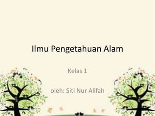 Ilmu Pengetahuan Alam
Kelas 1
oleh: Siti Nur Alifah
 