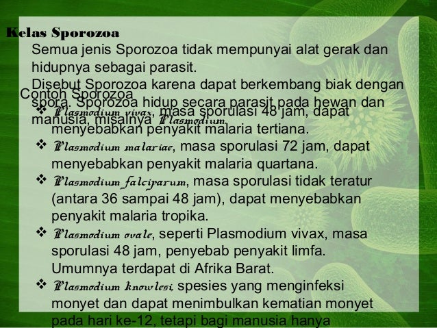 Biologi sma klas 1 Biologi sma klas 1