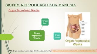 SISTEM REPRODUKSI PADA MANUSIA
Organ Reproduksi Wanita
Organ
Reproduksi
Wanita
Organ
Luar
Organ
Dalam
NB. Organ reproduksi wanita dapat ditonton pada vidio berikut: https://www.youtube.com/watch?v=468I8VtmDzw&t=47s
 