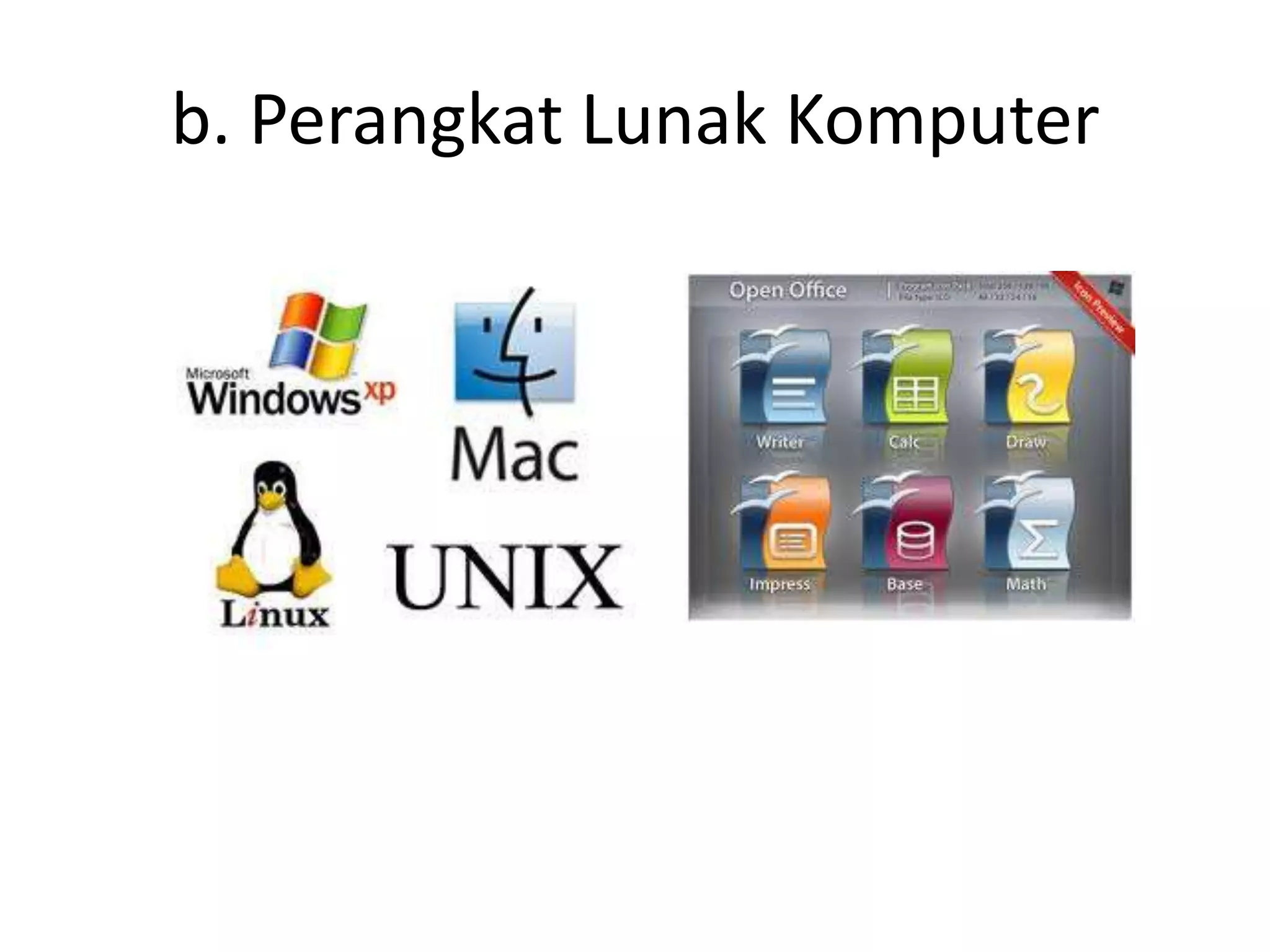 b. Perangkat Lunak Komputer