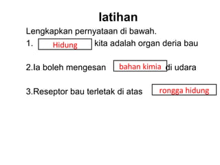 latihan
Lengkapkan pernyataan di bawah.
1.    Hidung    kita adalah organ deria bau

2.Ia boleh mengesan     bahan kimia di udara

3.Reseptor bau terletak di atas   rongga hidung
 