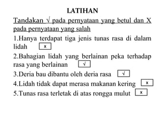 LATIHAN
Tandakan √ pada pernyataan yang betul dan X
pada pernyataan yang salah
1.Hanya terdapat tiga jenis tunas rasa di dalam
lidah      X

2.Bahagian lidah yang berlainan peka terhadap
rasa yang berlainan       √

3.Deria bau dibantu oleh deria rasa    √

4.Lidah tidak dapat merasa makanan kering X
5.Tunas rasa terletak di atas rongga mulut X
 