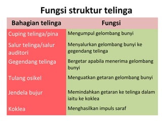 Fungsi struktur telinga
 Bahagian telinga                   Fungsi
Cuping telinga/pina   Mengumpul gelombang bunyi

Salur telinga/salur   Menyalurkan gelombang bunyi ke
auditori              gegendang telinga

Gegendang telinga     Bergetar apabila menerima gelombang
                      bunyi
Tulang osikel         Menguatkan getaran gelombang bunyi

Jendela bujur         Memindahkan getaran ke telinga dalam
                      iaitu ke koklea
Koklea                Menghasilkan impuls saraf
 