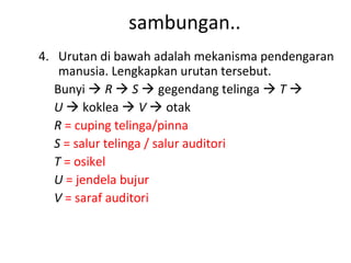 sambungan..
4. Urutan di bawah adalah mekanisma pendengaran
    manusia. Lengkapkan urutan tersebut.
   Bunyi  R  S  gegendang telinga  T 
   U  koklea  V  otak
   R = cuping telinga/pinna
   S = salur telinga / salur auditori
   T = osikel
   U = jendela bujur
   V = saraf auditori
 