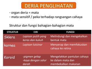 DERIA PENGLIHATAN
  - organ deria = mata
  - mata sensitif / peka terhadap rangsangan cahaya

  Struktur dan fungsi bahagian-bahagian mata
 STRUKTUR           CIRI                    FUNGSI

Sklera      Lapisan putih yang   Melindungi dan mengekalkan
            keras dan kukuh      bentuk mata
kornea      Lapisan lutsinar     Menyerap dan memfokuskan
                                 cahaya ke retina


Koroid      -pigmen gelap        Mengelakkan pantulan cahaya
            -kaya dengan salur   ke dalam mata dan
            darah                membekalkan makanan
 