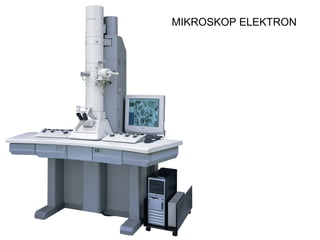 MIKROSKOP ELEKTRON
 