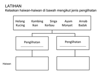 LATIHAN
 Kelaskan haiwan-haiwan di bawah mengikut jenis penglihatan


         Helang     Kambing    Singa     Ayam         Arnab
         Kucing      Ikan   Kerbau      Monyet        Badak




              Penglihatan                  Penglihatan
            __________________         _____________________




Haiwan
 