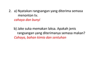 2. a) Nyatakan rangsangan yang diterima semasa
      menonton tv.
   cahaya dan bunyi

   b) Jake suka memakan laksa. Apakah jenis
     rangsangan yang diterimanya semasa makan?
   Cahaya, bahan kimia dan sentuhan
 