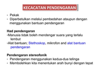 KECACATAN PENDENGARAN
          KECACATAN PENDENGARAN
- Pekak
- Diperbetulkan melalui pembedahan ataupun dengan
  menggunakan bantuan pendengaran

Had pendengaran
-Manusia tidak boleh mendengar suara yang terlalu
   lembut
-Alat bantuan; Stethoskop, mikrofon and alat bantuan
   pendengaran

Pendengaran stereofonik
- Pendengaran menggunakan kedua-dua telinga
- Membolehkan kita menentukan arah bunyi dengan tepat
 