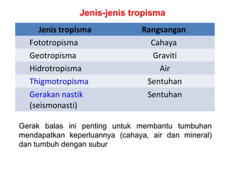 Jenis-jenis tropisma
     Jenis tropisma            Rangsangan
  Fototropisma                   Cahaya
  Geotropisma                    Graviti
  Hidrotropisma                    Air
  Thigmotropisma                Sentuhan
  Gerakan nastik                Sentuhan
  (seismonasti)

Gerak balas ini penting untuk membantu tumbuhan
mendapatkan keperluannya (cahaya, air dan mineral)
dan tumbuh dengan subur
 